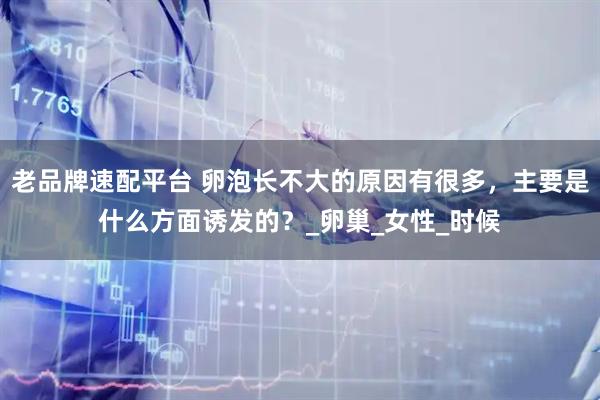 老品牌速配平台 卵泡长不大的原因有很多，主要是什么方面诱发的？_卵巢_女性_时候