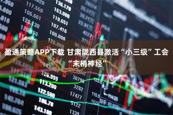盈通策略APP下载 甘肃陇西县激活“小三级”工会“末梢神经”